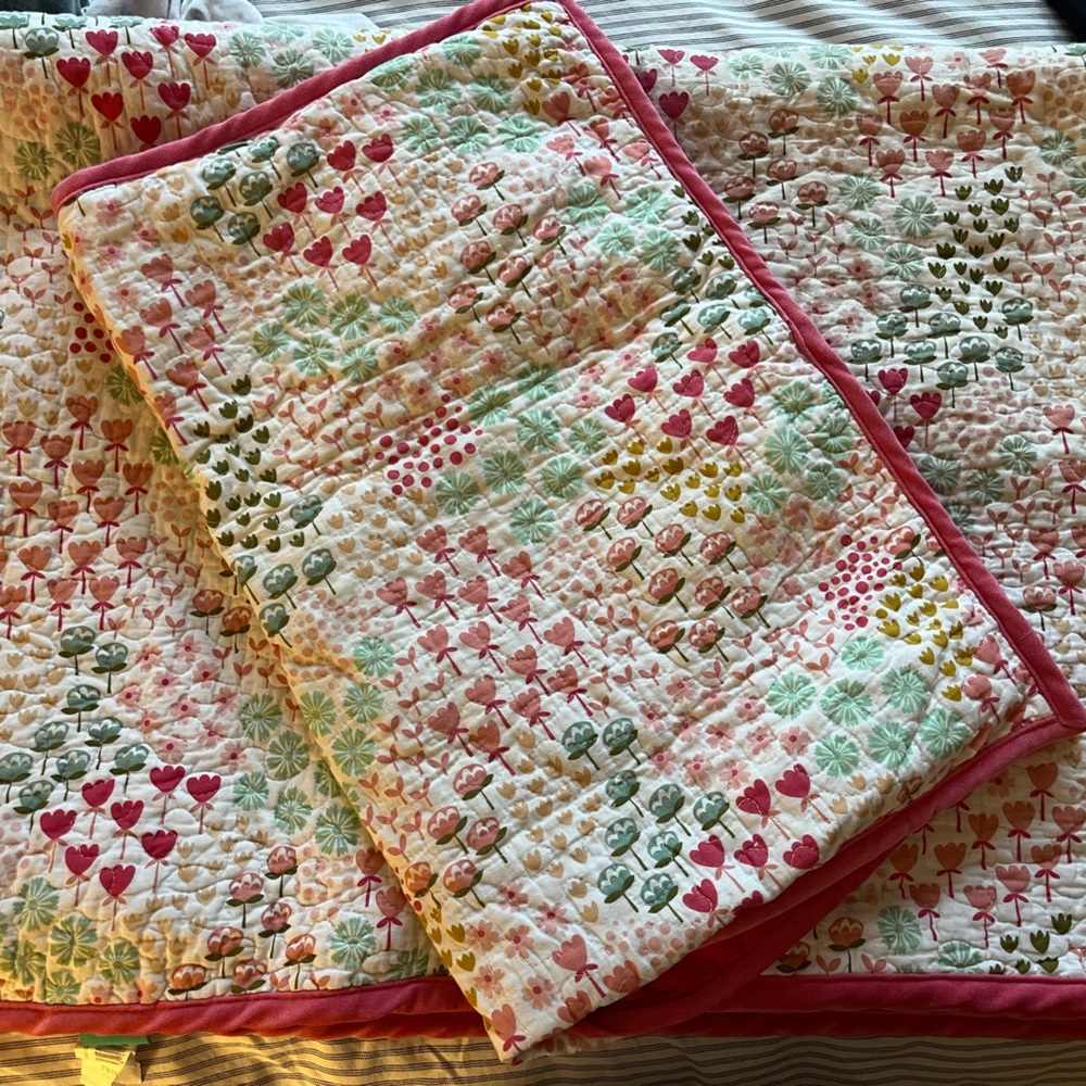 Pillowfort twin quilt and sham